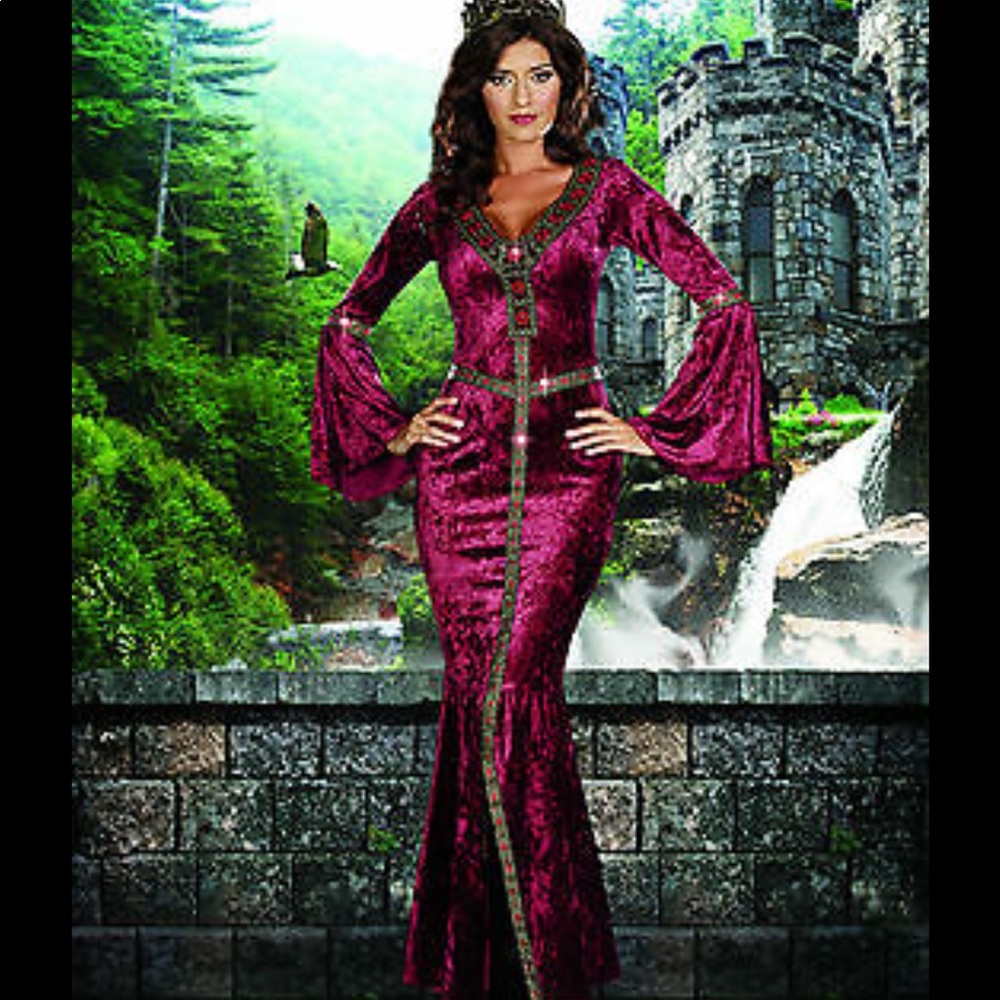 Dreamgirl Renaissance Faire dress